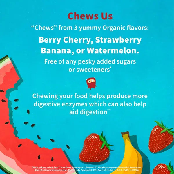 2 Pack - Garden of Life Dr. Formulated Probiotics Organic Kids+ Gummy Berry Cherry 30 Count Garden of Life