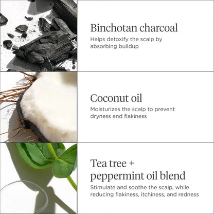 Briogeo Scalp Revival Soothe + Detoxify Hair Care Minis Briogeo