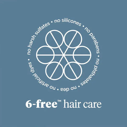 Briogeo Scalp Revival Soothe + Detoxify Hair Care Minis Briogeo