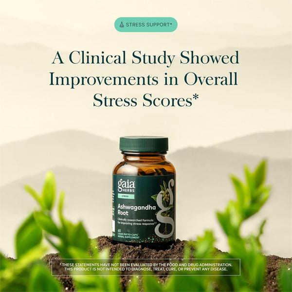 Gaia Herbs Ashwagandha Root 350 mg Sleep Support 60 Vegan Capsules