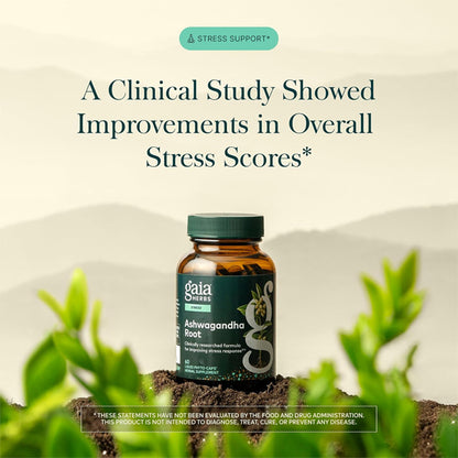 Gaia Herbs Ashwagandha Root 350 mg Sleep Support 60 Vegan Capsules