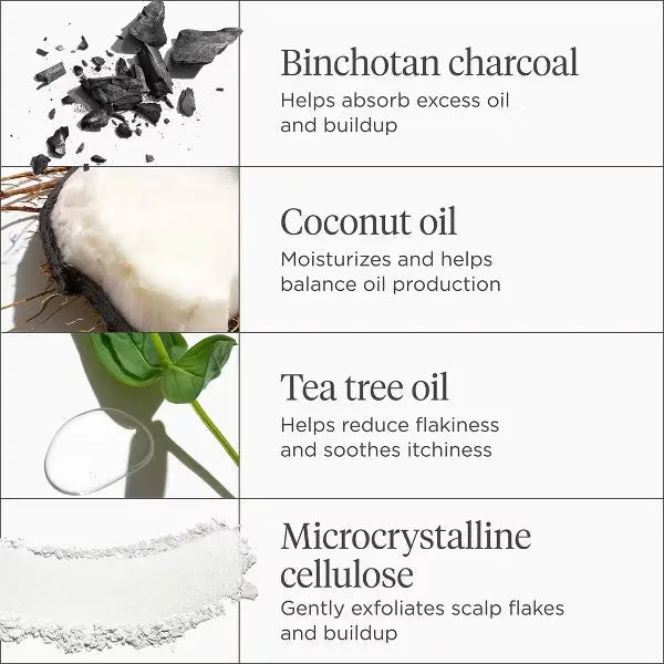Briogeo Scalp Revival Charcoal + Coconut Oil Micro Exfoliating Scrub 8oz Briogeo
