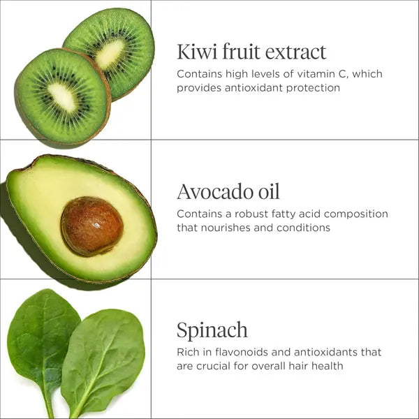Briogeo Superfoods Avocado + Kiwi Mega Moisture Mask for Dry Hair 8oz Briogeo