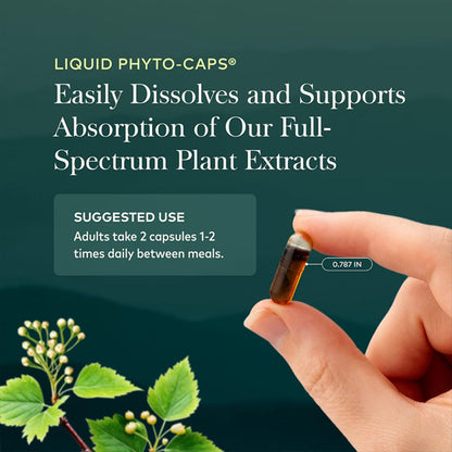 Gaia Herbs Black Seed Oil Lung Health Supplement 60 Vegan Capsules