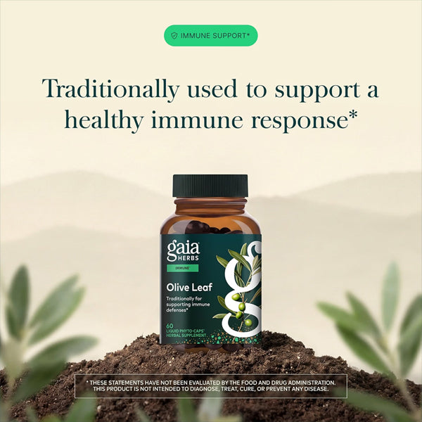 Gaia Herbs Olive Leaf Immune Support Supplement 60 Vegan Capsules