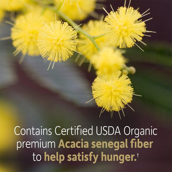 Garden of Life Organic Prebiotic Fiber Powder Supplement Unflavored 32 Servings Garden of Life