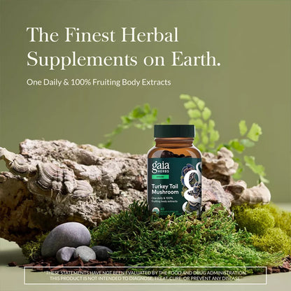 Gaia Herbs Turkey Tail Mushroom Immune Support 40 Vegan Capsules